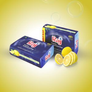 RAJ MULTIPURPOSE SOAP